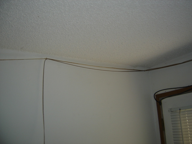 DSC00856.JPG